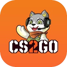 cs2go logo